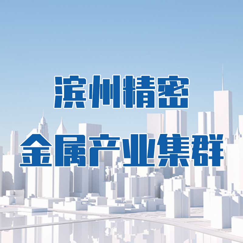 濱州精密金屬產業集群